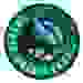 北黄金海岸海鹰 Logo