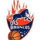 加拉加斯野马 Logo