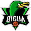 El比佳亚女篮 Logo
