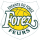 福雷斯 Logo