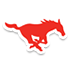 南方卫理会 Logo
