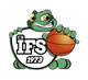 德菲斯女篮 Logo