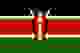 肯尼亚女篮 Logo