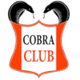 眼镜蛇SC Logo