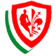 艾尼克费伦泽 Logo