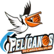 CSL鹈鹕 Logo