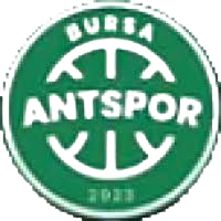 布尔萨ANT女篮 Logo