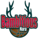 奈良雄心 Logo