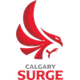 卡尔加里浪涌 Logo