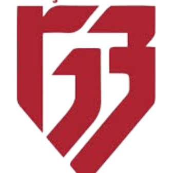根克勒比尔利吉女篮 Logo
