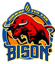 纳勒赫野牛 Logo
