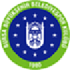 布尔萨女篮 Logo