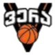 维拉特比里斯 Logo