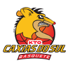 休会大青年U19 Logo