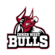 内西公牛 Logo