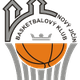 BC诺维吉辛 Logo