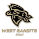 班迪思 Logo