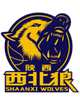 陕西信达 Logo