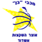 阿什杜德马卡比女篮 Logo
