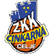 ZKK采列女篮 Logo
