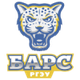 顿河畔罗斯托夫 Logo
