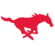 南卫理公会大学 Logo