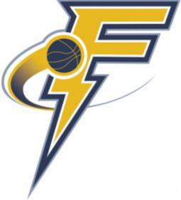 福尔戈尔菲登扎 Logo