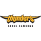 首尔三星雷电二队 Logo