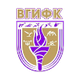 VGIFK沃罗涅日女篮 Logo