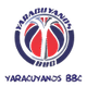 雅拉亚尼亚女篮 Logo