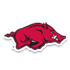 阿肯色大学女篮 Logo