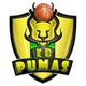 美洲狮 Logo