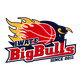 岩手大公牛 Logo
