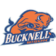 巴克内尔大学女篮 Logo