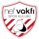 NEF Logo