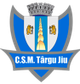 CSM特尔古捷乌B队 Logo