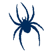 里奇蒙德大学 Logo
