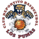 普马斯索尔诺女篮 Logo