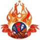 弗尔巴斯女篮 Logo