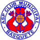 姆尼茨派尔U19 Logo