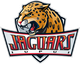 印第安纳大学与普渡大学印第安纳波利斯联合分校 Logo