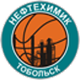 托波尔斯克 Logo