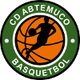 特木科 Logo