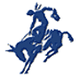南阿肯色 Logo