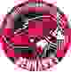 贝尼迪克坦大学 Logo
