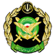 尼鲁扎米尼 Logo