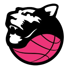 罗塞托女篮 Logo