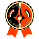 大马士革联合女篮 Logo