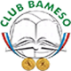 巴米索 Logo