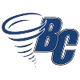 布罗瓦女篮 Logo